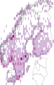 Fyndkarta för spetsbergsgås. Datakälla: GBIF