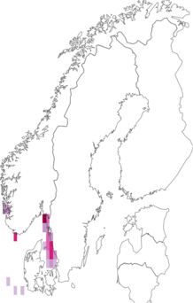 Fyndkarta för sträv sjöpung. Datakälla: GBIF