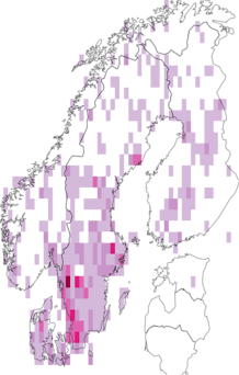 Fyndkarta för jordmossor. Datakälla: GBIF