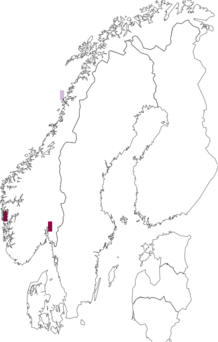 Fyndkarta för Schaefferia willemi. Datakälla: GBIF