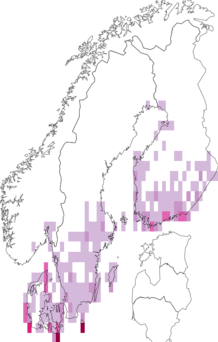 Fyndkarta för gråkantat glansfly. Datakälla: GBIF