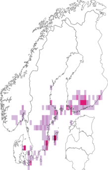 Fyndkarta för svartgördlad strimmätare. Datakälla: GBIF