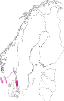 Fyndkarta för ledsjöstjärnor. Datakälla: GBIF