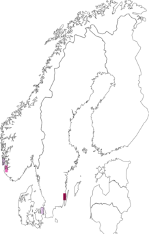 Fyndkarta för pärlberberis. Datakälla: GBIF