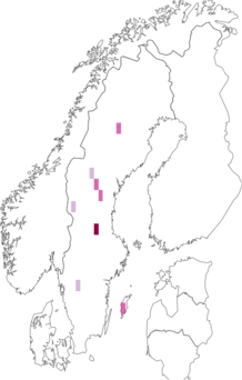 Fyndkarta för Cortinarius argillaceosericeus. Datakälla: GBIF