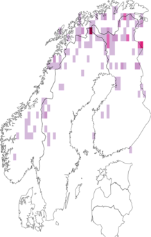 Fyndkarta för vitvingat hedfly. Datakälla: GBIF