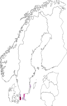 Fyndkarta för sandsnabblöpare. Datakälla: GBIF