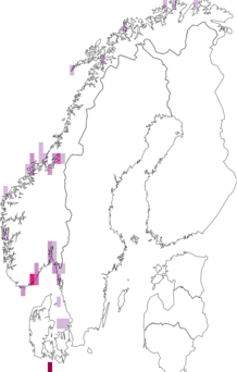 Fyndkarta för limfjordssnäcka. Datakälla: GBIF