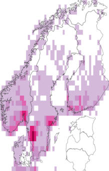 Fyndkarta för styvmorsviol. Datakälla: GBIF