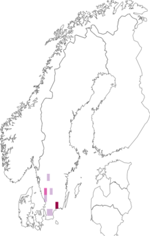 Fyndkarta för Baetis liebenauae. Datakälla: GBIF