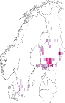 Fyndkarta för sirlig björkguldmal. Datakälla: GBIF