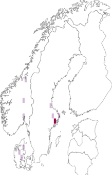 Fyndkarta för Pyrenopeziza rubi. Datakälla: GBIF