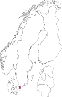 Kaarta Potentilla micrantha. Data source: GBIF