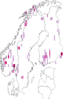 Fyndkarta för Aytoniaceae. Datakälla: GBIF