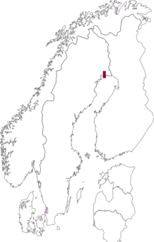 Fyndkarta för rosenbandvecklare. Datakälla: GBIF