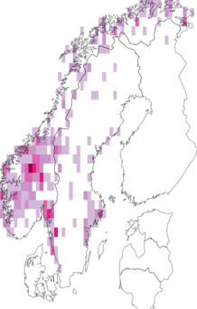 Kaarta Ophioparma ventosa. Data source: GBIF