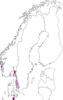 Fyndkarta för Harmothoe. Datakälla: GBIF
