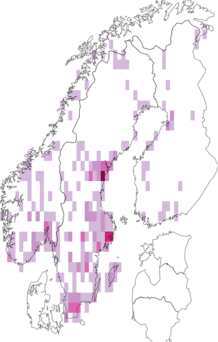 Fyndkarta för snabblöparspindlar. Datakälla: GBIF