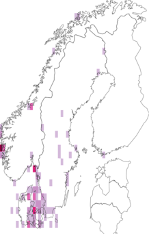 Fyndkarta för Acrochaetiaceae. Datakälla: GBIF