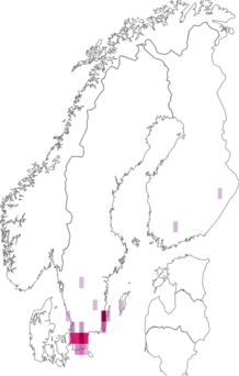 Fyndkarta för Cardiophorus asellus. Datakälla: GBIF