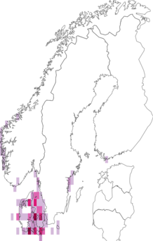 Fyndkarta för violettslick. Datakälla: GBIF