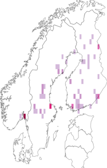 Fyndkarta för storfläckig kungsnattslända. Datakälla: GBIF