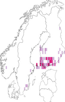 Kaarta Coleophora orbitella. Data source: GBIF