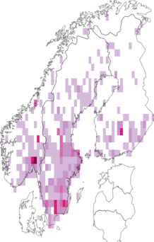 Fyndkarta för rödvingebaggar. Datakälla: GBIF