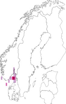 Fyndkarta för andromedasjöstjärna. Datakälla: GBIF