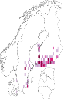 Fyndkarta för purpurgrundvecklare. Datakälla: GBIF
