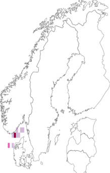 Fyndkarta för Eudorella hirsuta. Datakälla: GBIF
