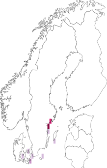 Fyndkarta för östersjösallat. Datakälla: GBIF