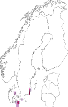 Fyndkarta för grenkungsljuskapuschongfly. Datakälla: GBIF