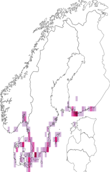 Fyndkarta för brunfläckig lundmätare. Datakälla: GBIF