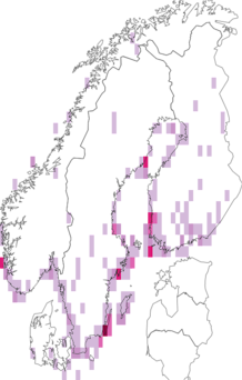Fyndkarta för kungsfågelsångare. Datakälla: GBIF