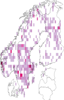 Fyndkarta för Pterigynandraceae. Datakälla: GBIF