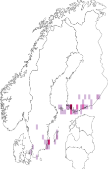 Fyndkarta för vit korgblomvecklare. Datakälla: GBIF