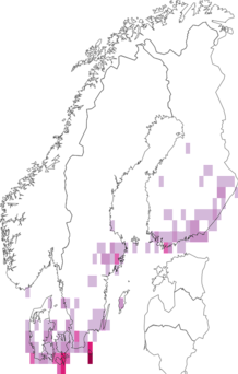 Fyndkarta för brunrött rovfly. Datakälla: GBIF