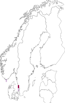 Fyndkarta för Polysiphonia hemisphaerica. Datakälla: GBIF