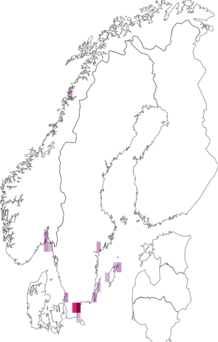 Fyndkarta för alfavargspindel. Datakälla: GBIF
