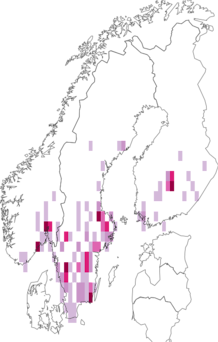 Fyndkarta för Cychramus variegatus. Datakälla: GBIF