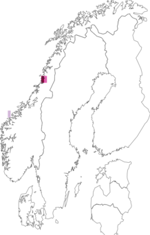 Fyndkarta för nordlandsoxel. Datakälla: GBIF