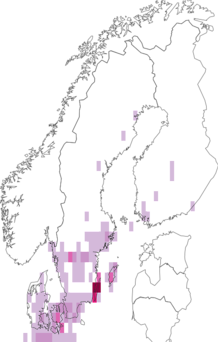 Fyndkarta för skogskornell. Datakälla: GBIF