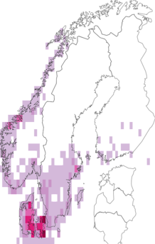Kaarta Sapindaceae. Data source: GBIF