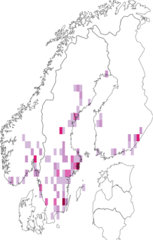 Fyndkarta för asprullvivel. Datakälla: GBIF