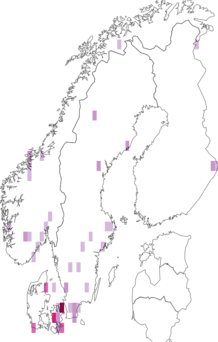 Fyndkarta för Henningsomyces. Datakälla: GBIF