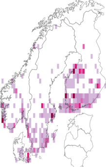 Fyndkarta för lädergul bredvecklare. Datakälla: GBIF