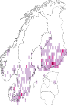 Fyndkarta för brungul älvmätare. Datakälla: GBIF