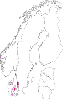 Fyndkarta för Acrochaetium reductum. Datakälla: GBIF