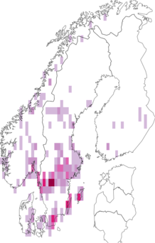 Kaarta Lepiota cristata. Data source: GBIF